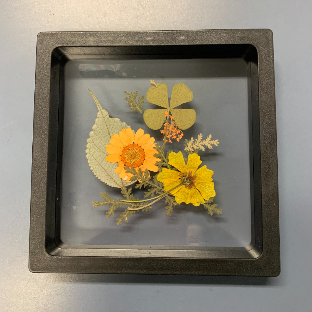 Pressed Flowers