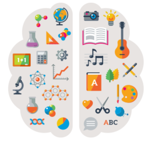 STEAM symbols in brain graphic