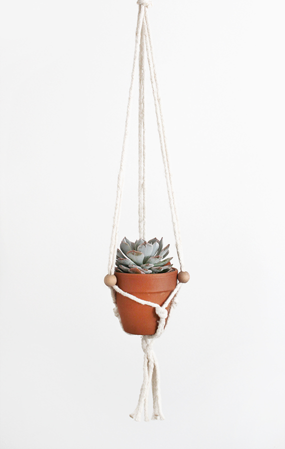 White macrame hanging clay pot with succulent
