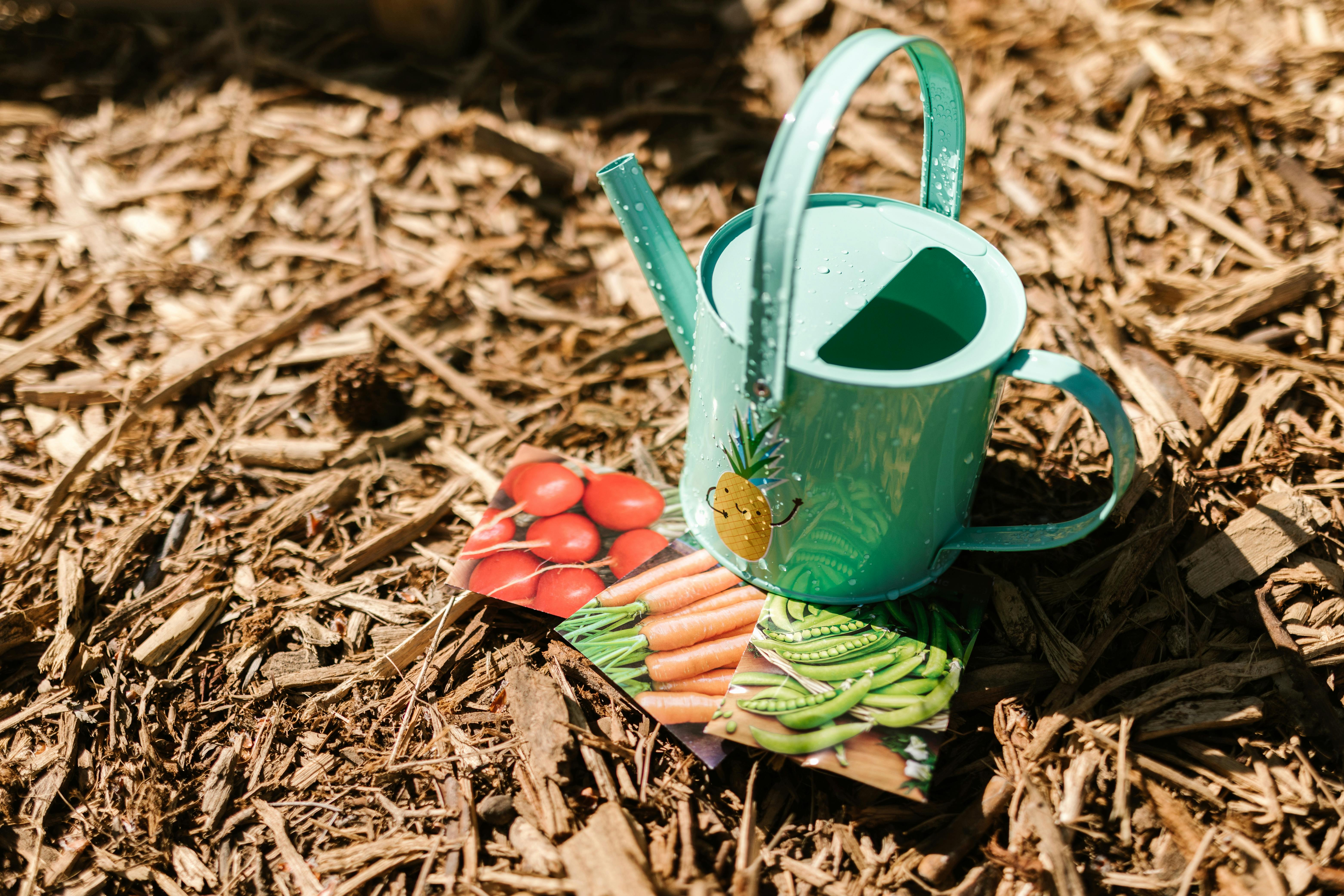 Watering can next to seed packets