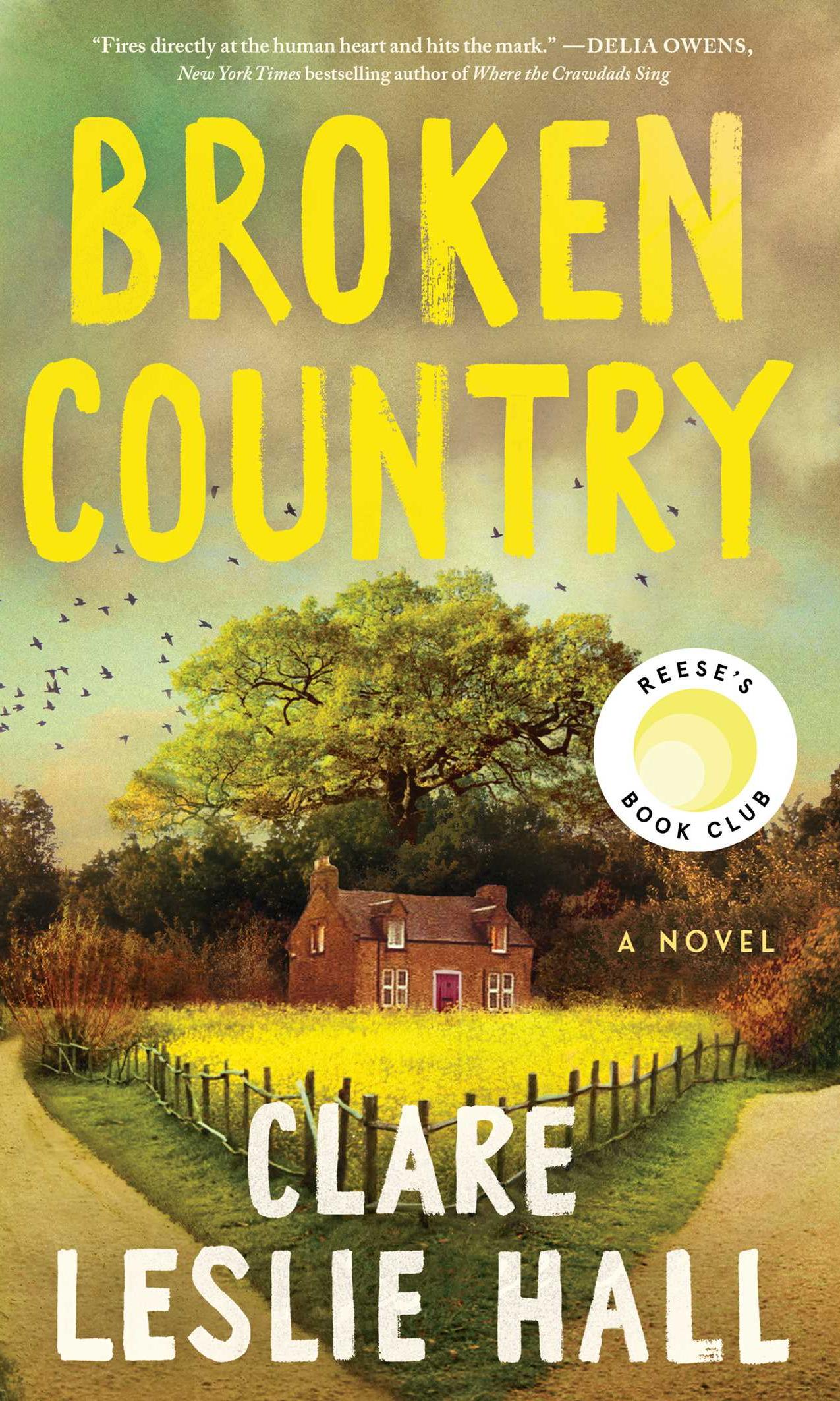 Broken Country cover