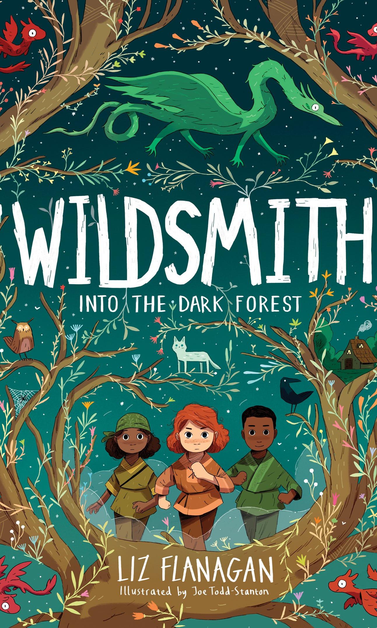 Wildsmith cover