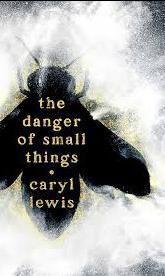 The Danger of Small Things, Caryl Lewis