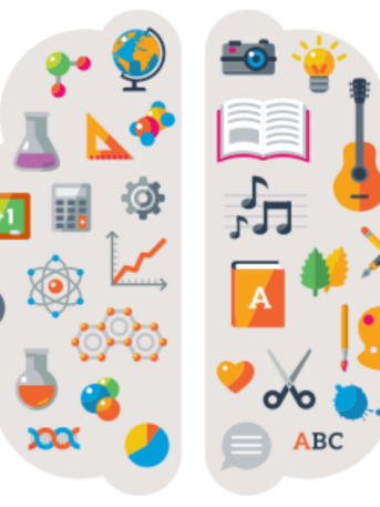 graphic showing the STEAM concepts in the shape of a brain