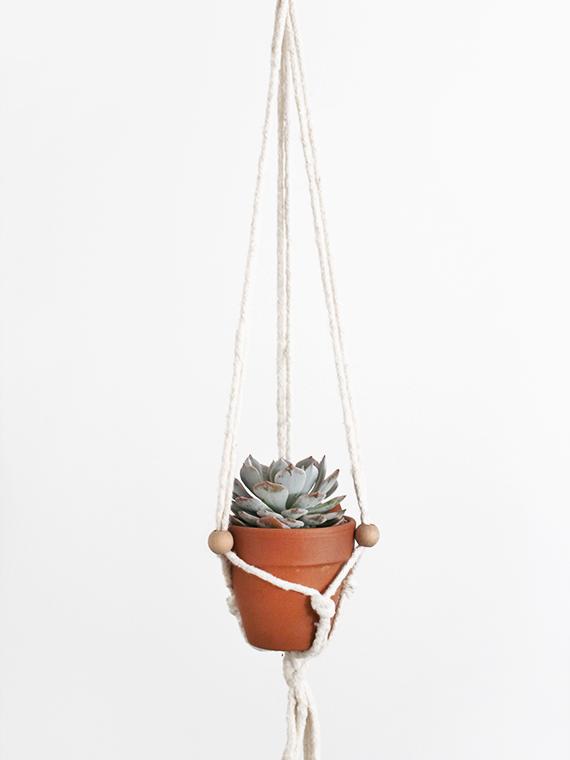White macrame hanging clay pot with succulent