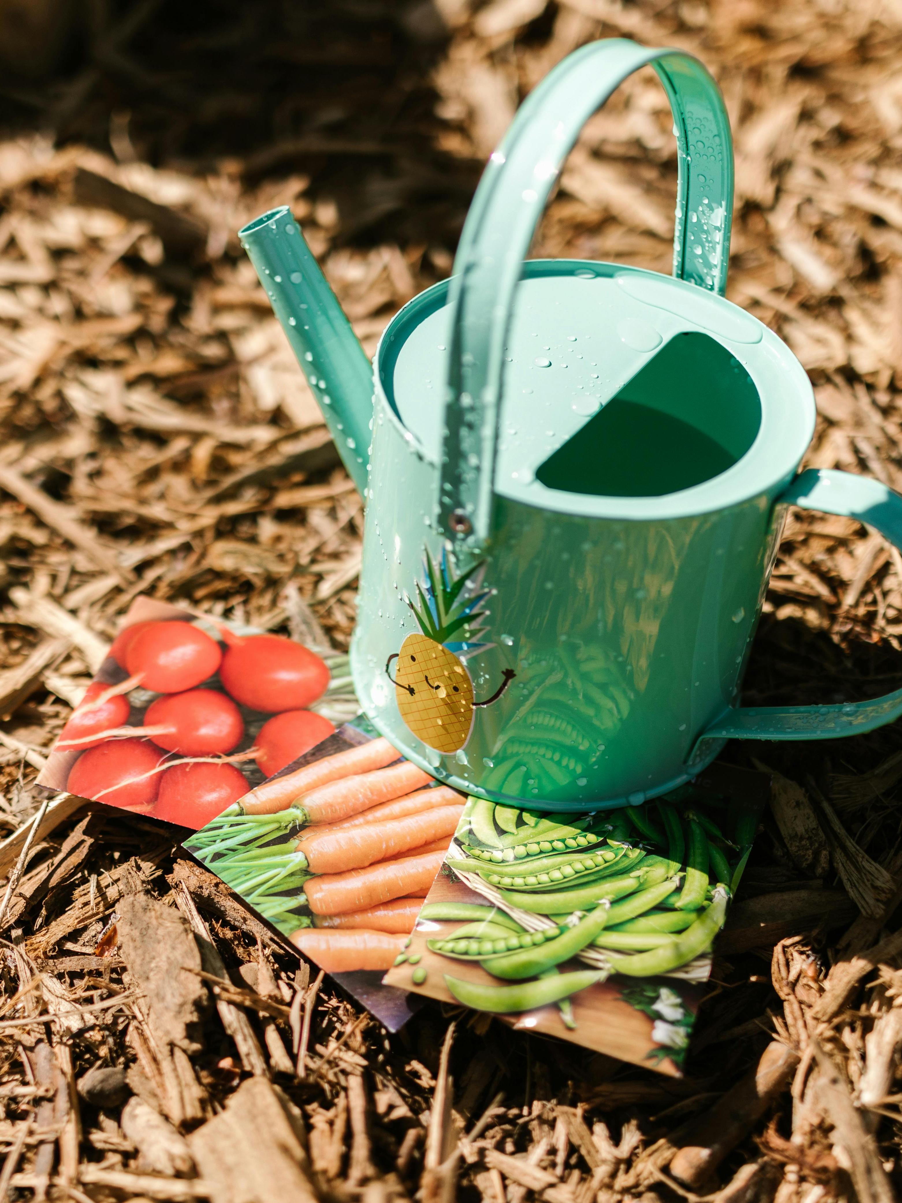 Watering can next to seed packets