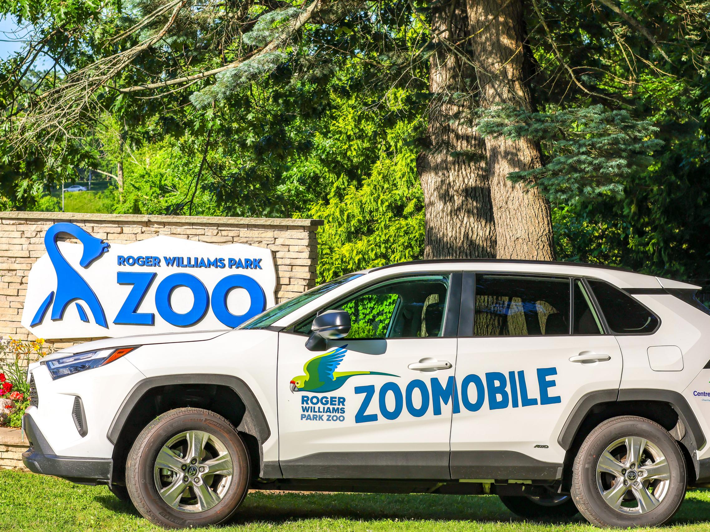 Roger Williams Park Zoomobile car