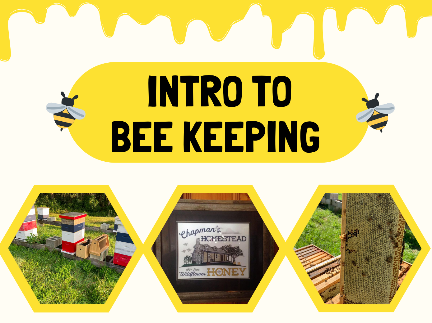 Intro to Beekeeping flier, Chapman's Homestead Honey