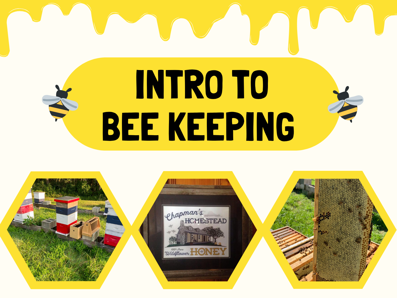 Intro to Beekeeping flier, Chapman's Homestead Honey