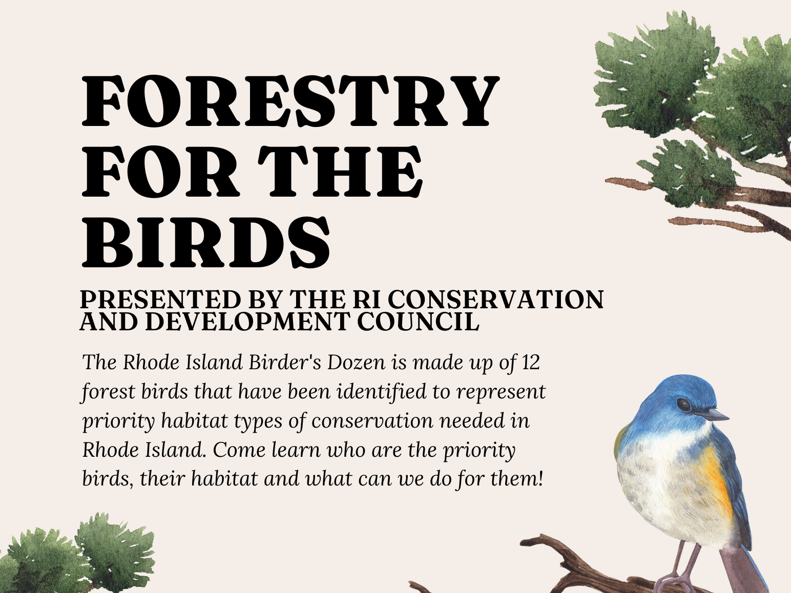 Flier for the Forestry for the Birds event on Tuesday, March 3rd at 6pm