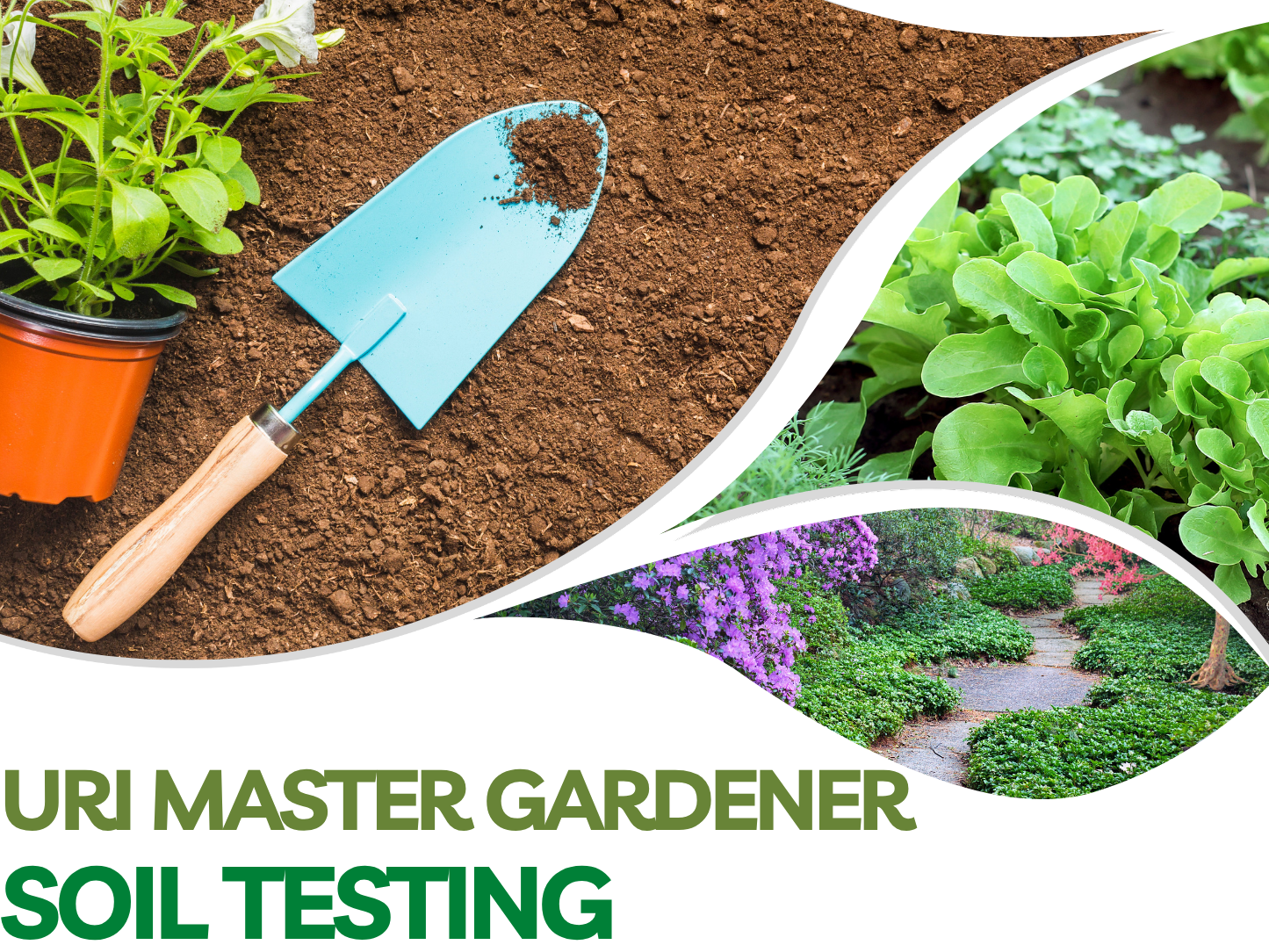 Soil testing flier, images of plants and gardening tools