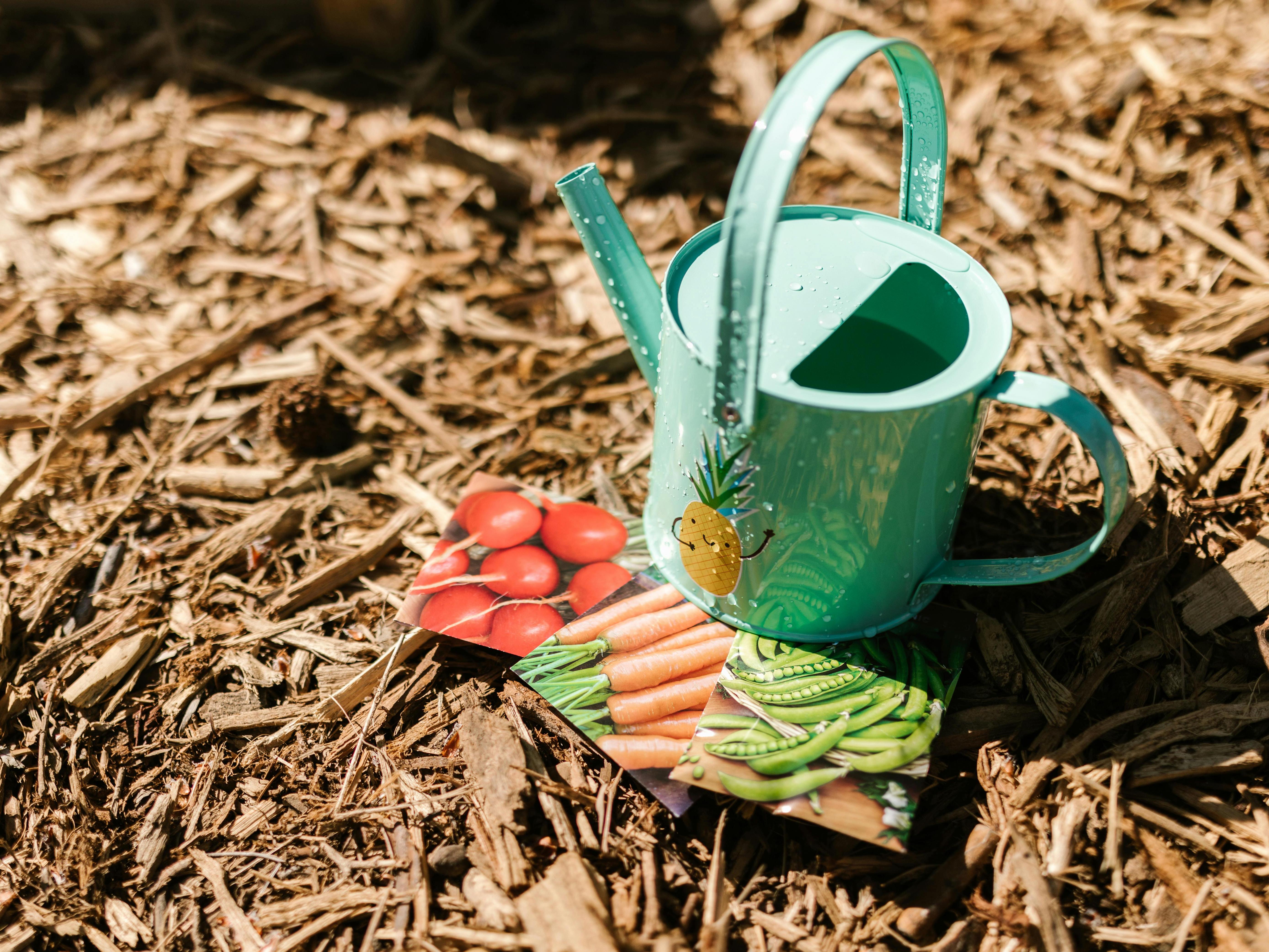 Watering can with seed packets
