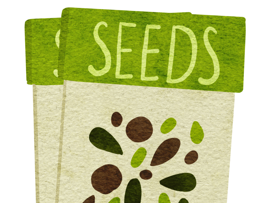 Green seed packets